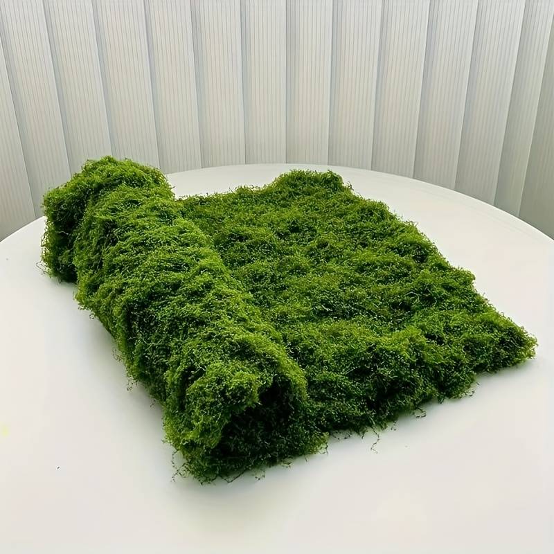 20' X 20' 인조 이끼 매트, 실내 식물용, 화분 - Sphagnum Moss Dry 리뷰 및 가격