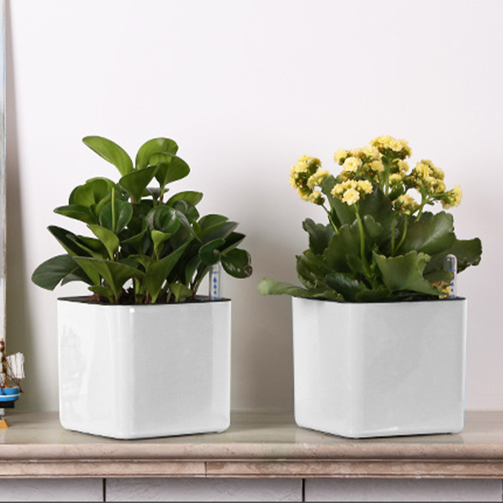 자동 급수 화분, 수위 표시기가 있는 흰색 자동 급수  - Self Watering Insert 리뷰 및 가격