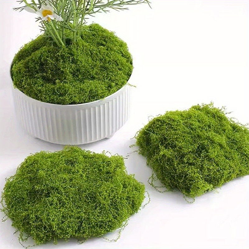 가짜 녹색 이끼 DIY 공예 인공 잔디, 인조 보존 이 - Sphagnum Moss Dry 리뷰 및 가격