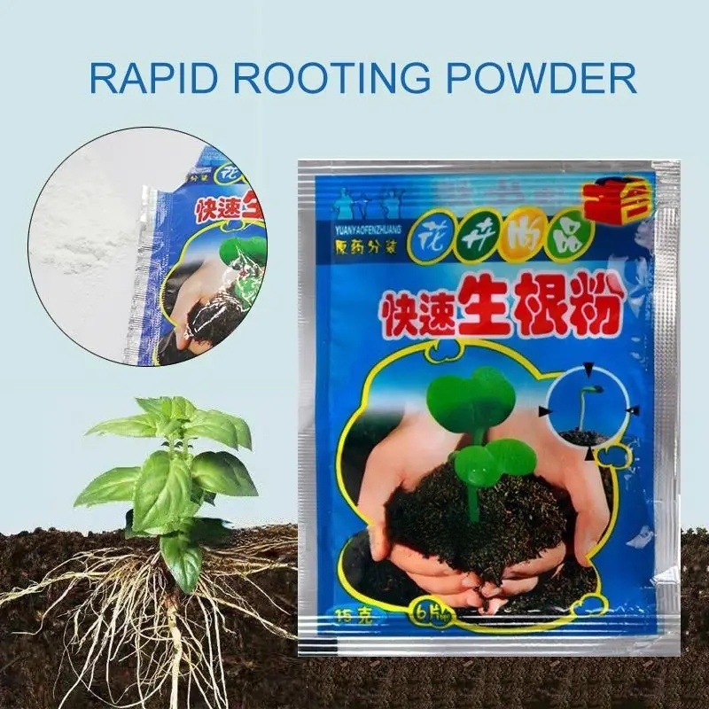 5개입 빠른 발근 분말 식물 급속 발근제 호르몬 성장  - Rooting Hormone Powder 리뷰 및 가격