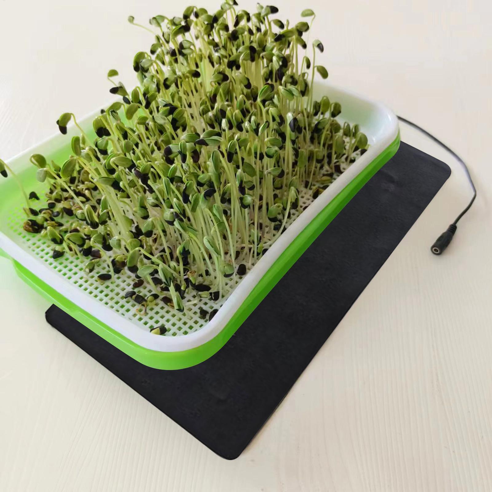 묘목 열 매트 5V 2A 8.5W 식물 종자 발아 번식 - Heat Mat Seedling 리뷰 및 가격